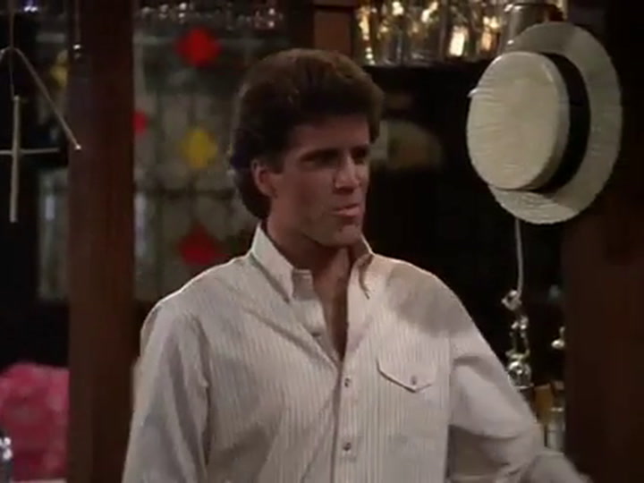 Ted Danson (Cheers)