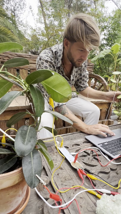 "Cómo registrar los pulsos de las plantas y convertirlos en música"
