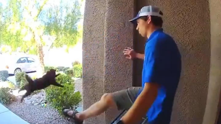 Door cam video captures pest control worker kicking cat into the air