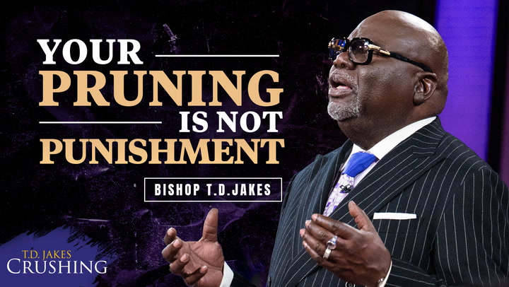 Pruning Is Not Punishment