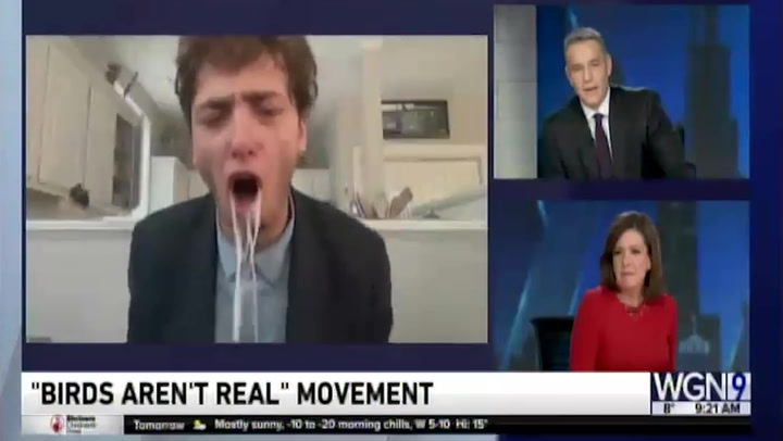 'Birds Aren't Real' founder 'pukes' during live TV interview
