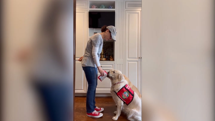 Clever dog sniffs out peanuts for teenager with life-threatening allergy