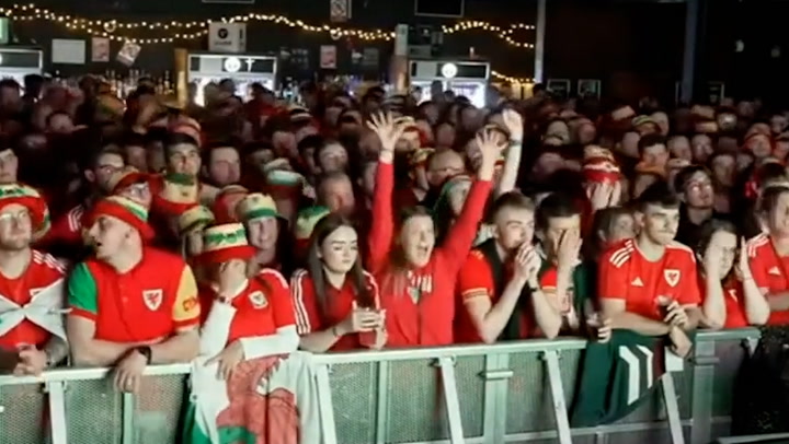 Lone England fan celebrates goal in sea of Welsh fans in Cardiff