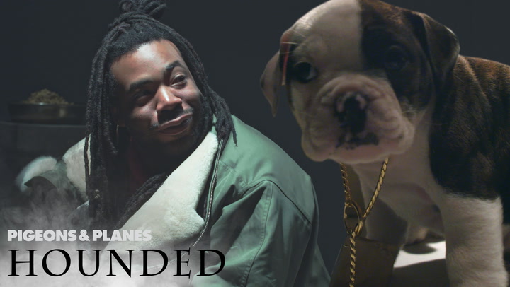 DRAM Gets Interviewed By Puppies | Hounded