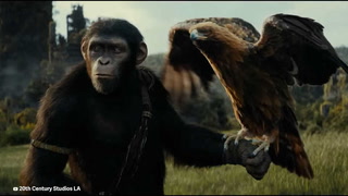 Video trailer de "El planeta de los simios: Nuevo reino"