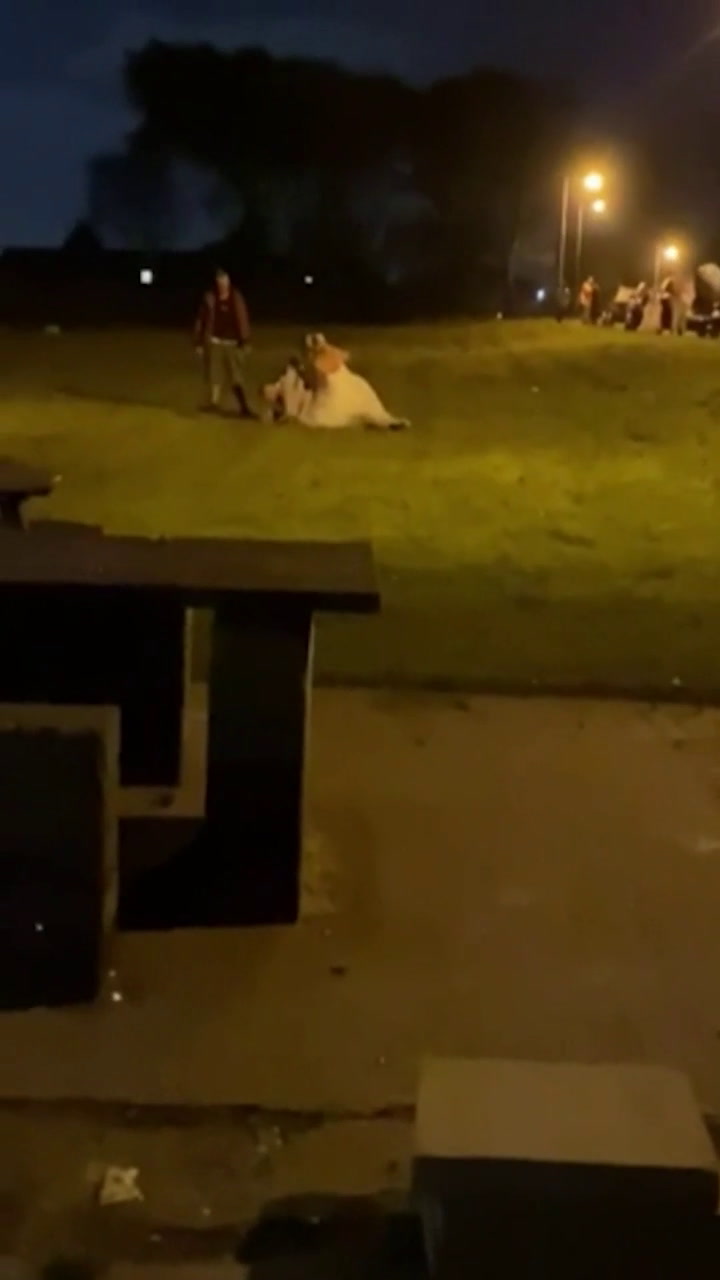 El final catastrófico de una boda: la novia peleando en el pasto y varios invitados inconscientes