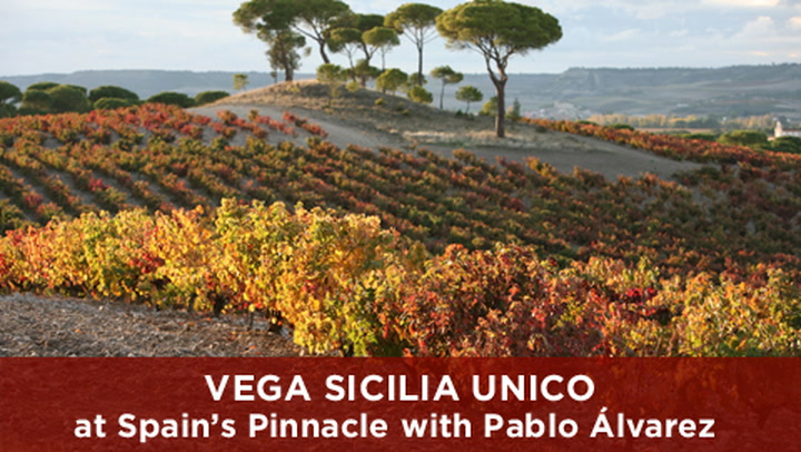 Vega Sicilia Unico, at Spain's Pinnacle