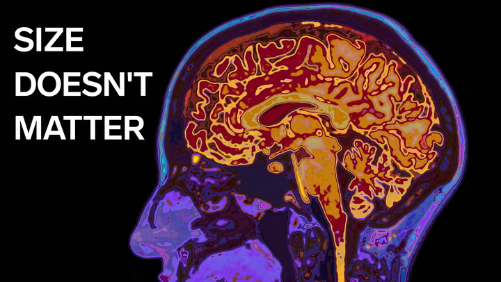 Neurologists debunk 11 brain myths