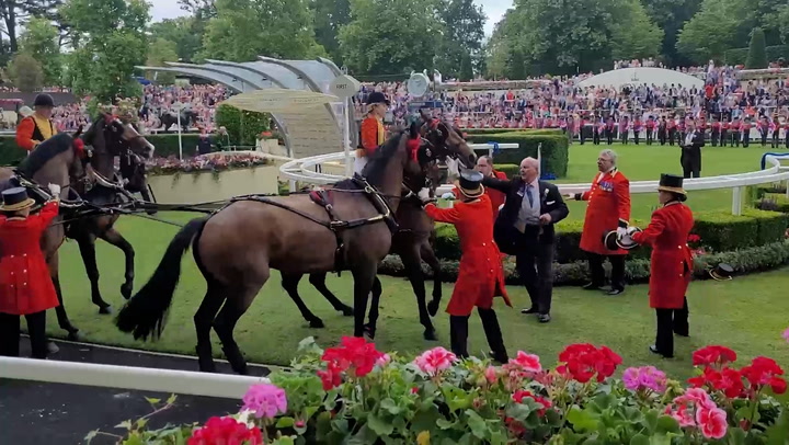Horse pulling Princess Beatrice's carriage gets spooked