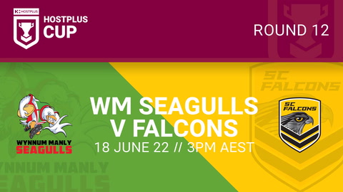 Wynnum Manly Seagulls - HC v Sunshine Coast Falcons - HC