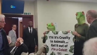 Animal rights protesters disrupt ITV meeting over I’m a Celebrity