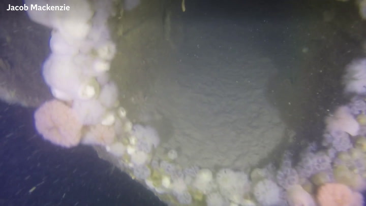 Divers find 112-year-old submarine off Devon coast