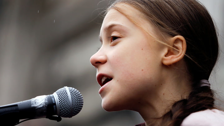 Earth Day: Greta Thunberg testifies to US politicians on climate crisis