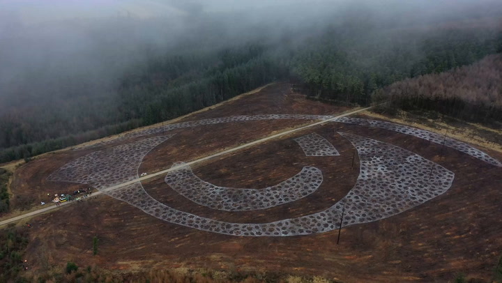 Artists create 300-metre-wide forest eye
