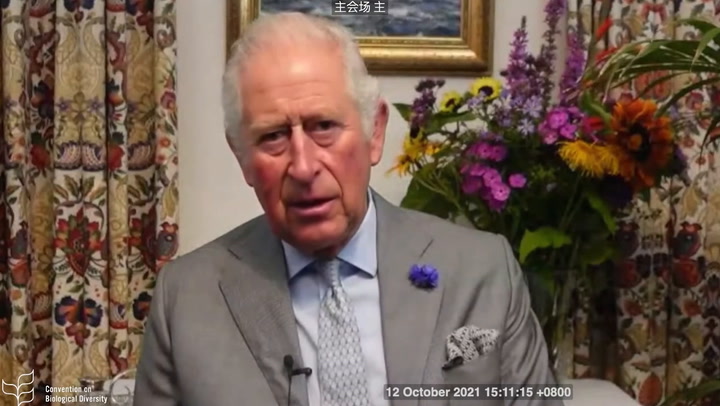 Prince Charles calls on nations to take ‘bold’ decisions to help regenerate land