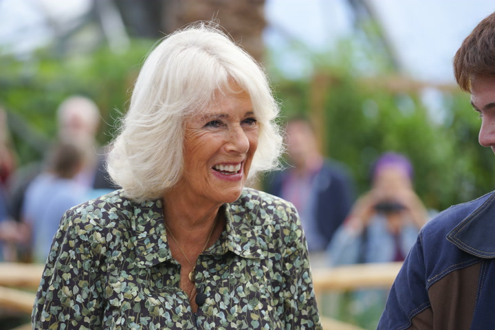 'Support and company': Queen Consort Camilla unveils six official Companions