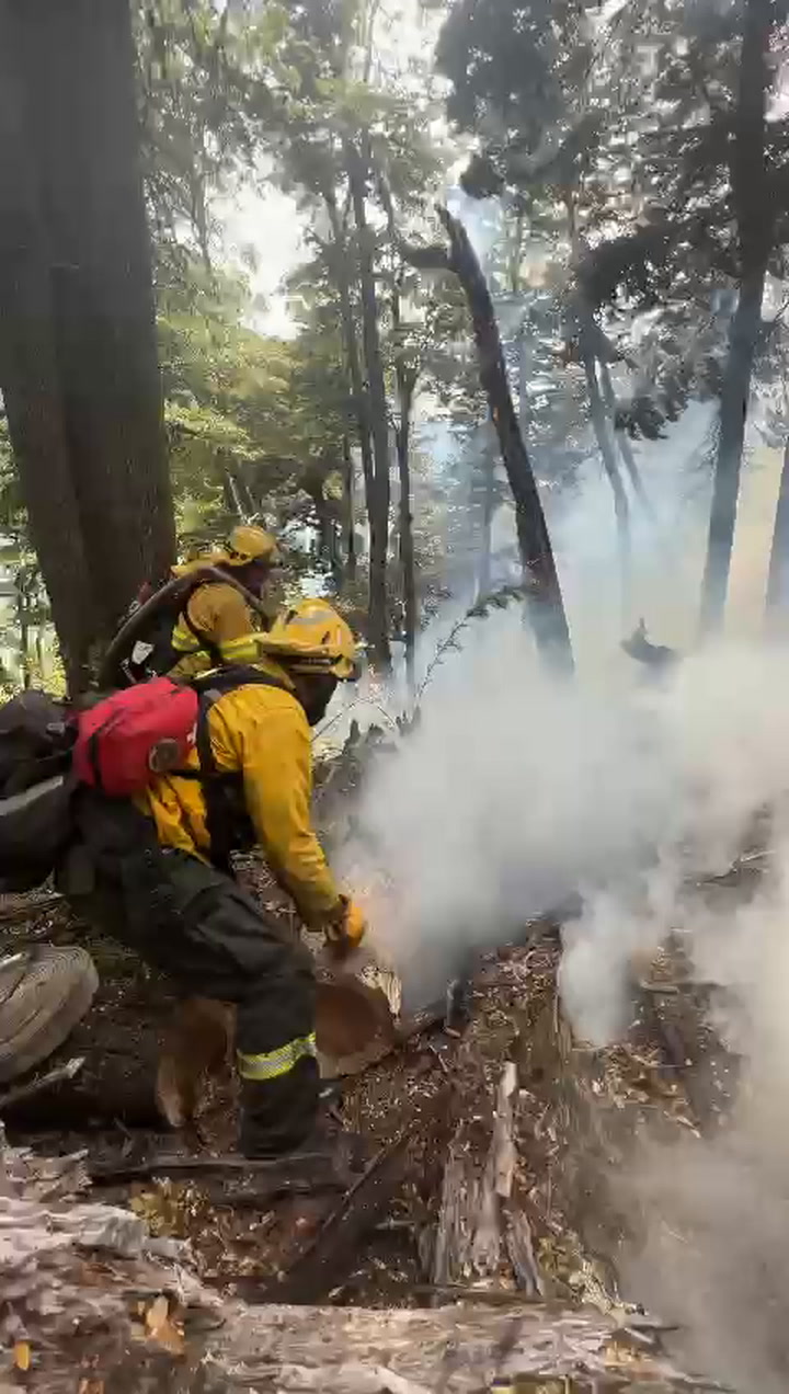 Combate del incendio en el parque Nahuel Huapi