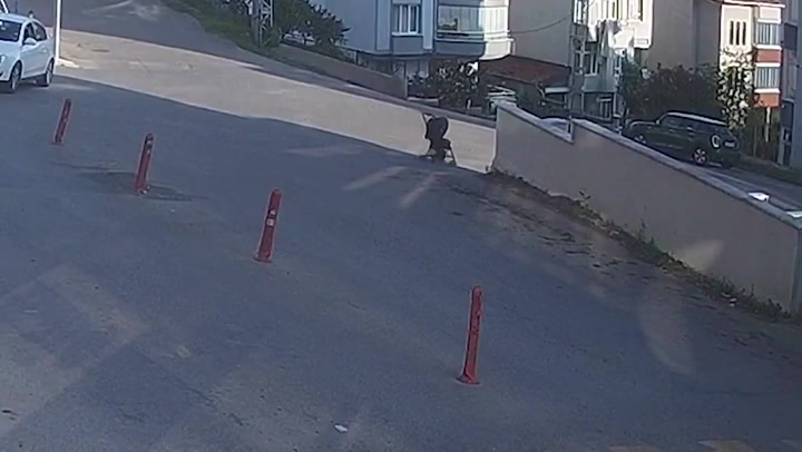 Mum chases after pram as it rolls down steep hill