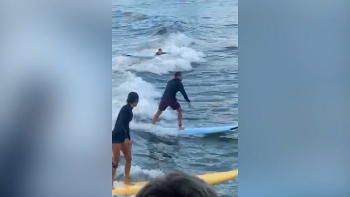 Mark Zuckerberg spotted having surfing lesson in Hawaii