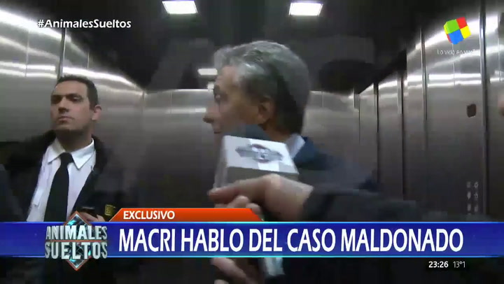 Mauricio Macri sobre la desaparición de Santiago Maldonado - Fuente: Animales sueltos