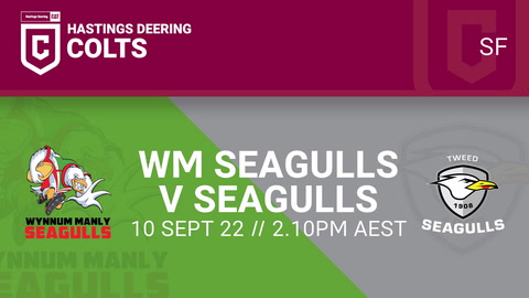 Wynnum Manly Seagulls U21 - HDC v Tweed Seagulls U20 - HDC
