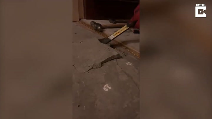 Una pareja descubrió una obra maestra de baldosas debajo de una alfombra de su casa