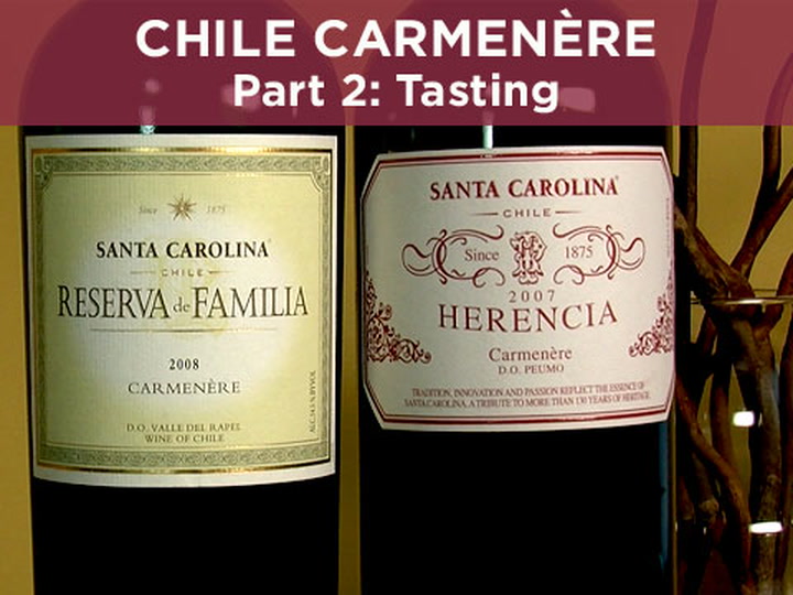 Chile Carmenere, 2: Tasting w/ Worksheet