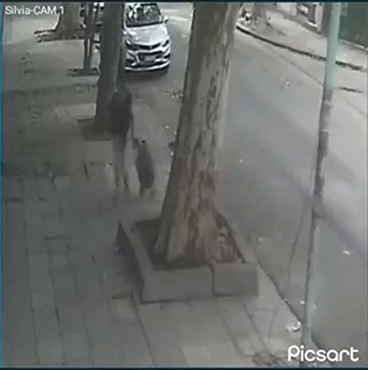 Una mujer tiró a una perra a un cesto de basura
