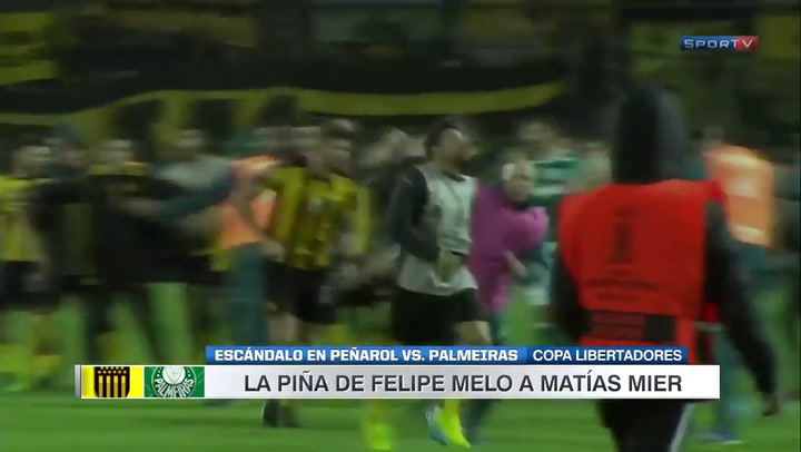 Batalla campal entre Peñarol y Palmeiras en la Copa Libertadores 2017 - Fuente: YouTube