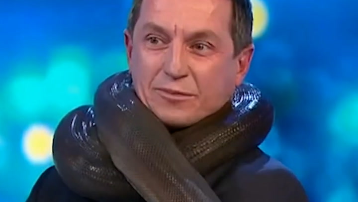 Snake wraps itself around TV presenter's neck live on-air