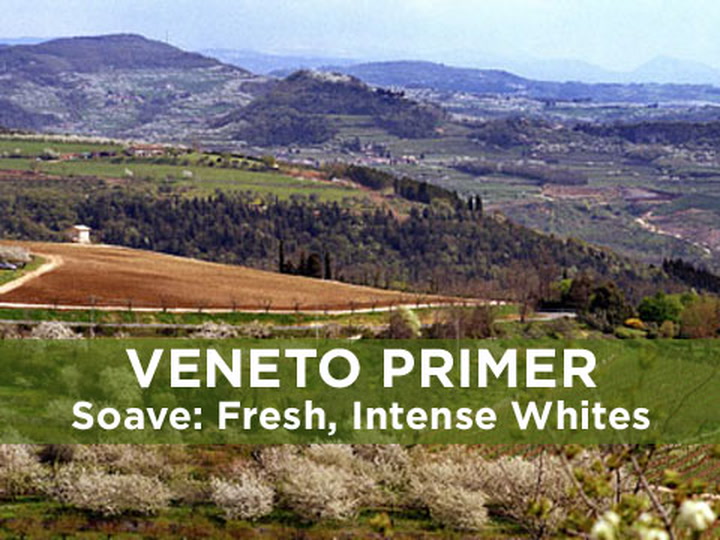 Veneto Primer: Soave 101 with Allegrini