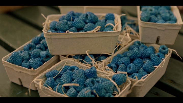 The UK’s only blue raspberry farm is opening its doors to the public today