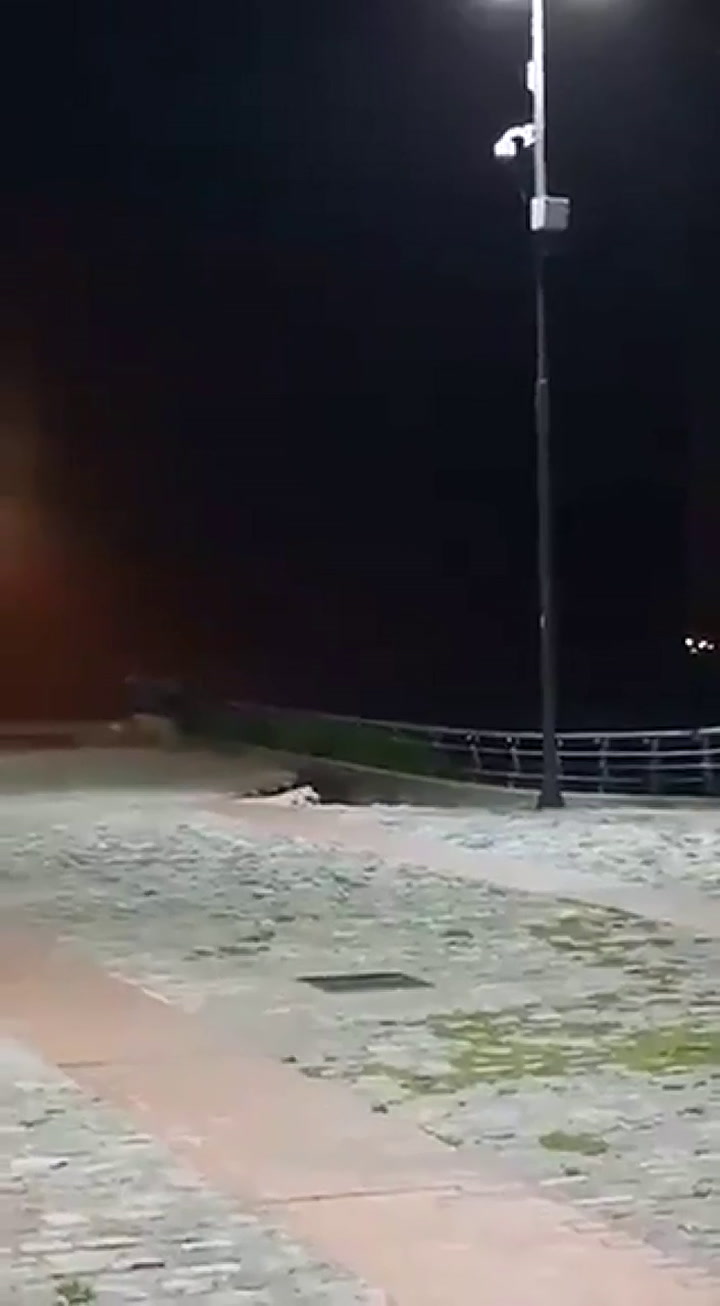 Videos del derrumbe de un muelle en Rosario