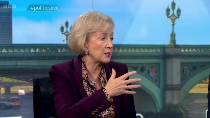 Bills will be cheaper 'within next ten years', says Tory MP Andrea Leadsom
