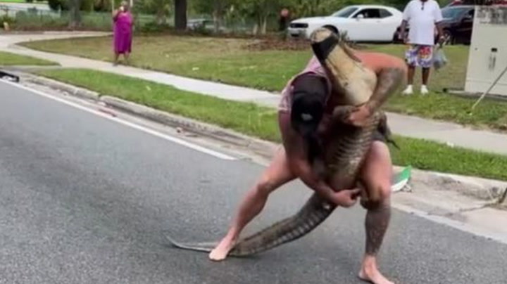 Watch as barefoot Florida man wrangles alligator