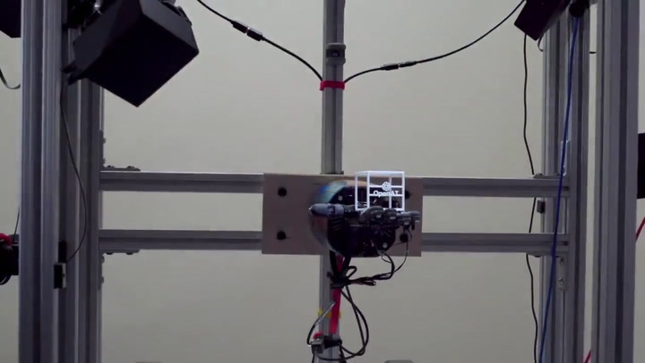 Mano robótica entrenada con inteligencia artificial - Fuente: YouTube