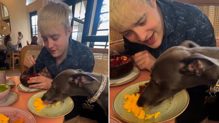 Gemma Collins shares video of dog sat at restaurant table tucking into meal