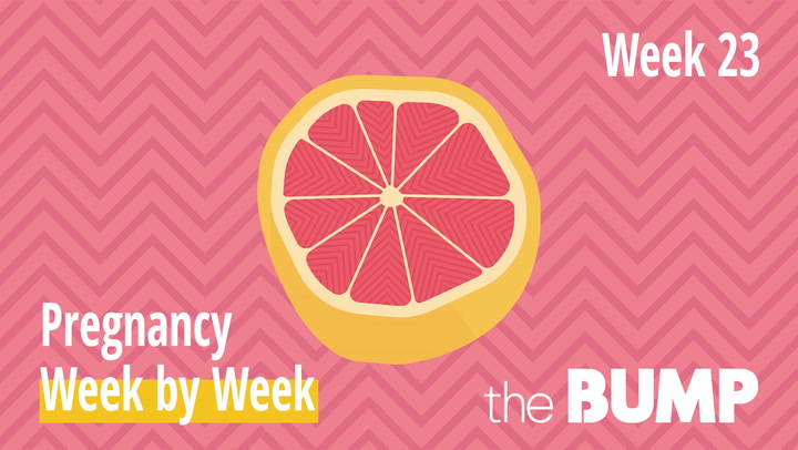 Pregnancy Week by Week 23  