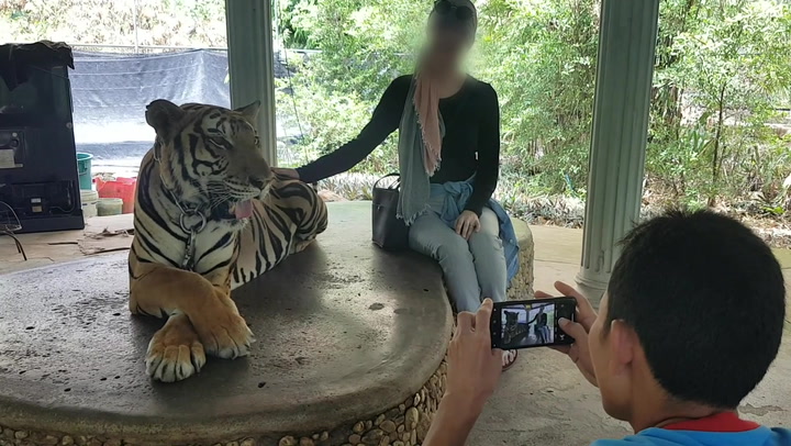 Anger as Instagram refuses to remove 'vile' videos of animal cruelty  published as 'entertainment' | The Independent | The Independent