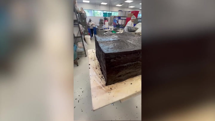 Cannabis company bakes giant 'weed' brownie that weight 850lbs