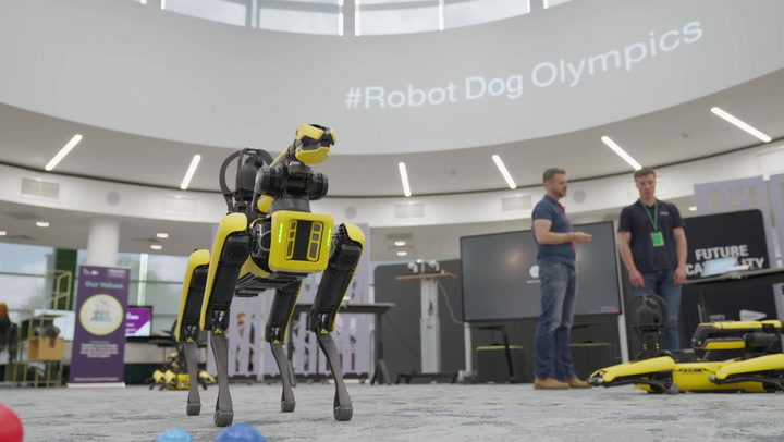 Coders demonstrate skills of robot dogs in Olympics hosted by MoD