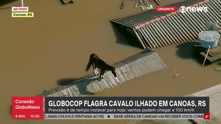 La triste imagen de un caballo atrapado en un techo tras las inundaciones en Brasil