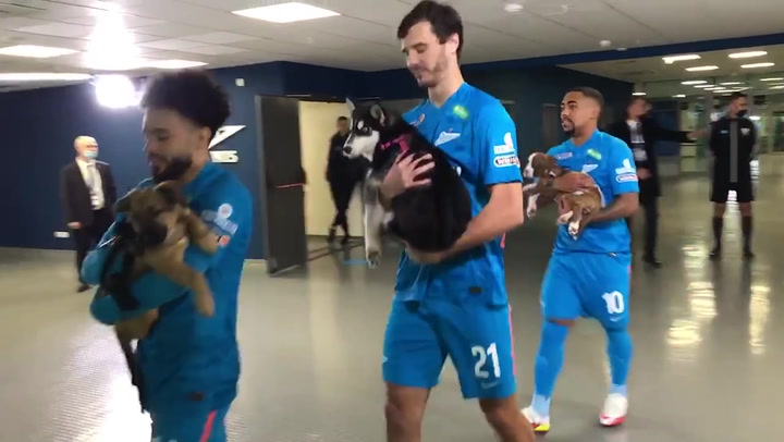 Football players carry dogs from shelter onto the pitch in bid to rehouse them