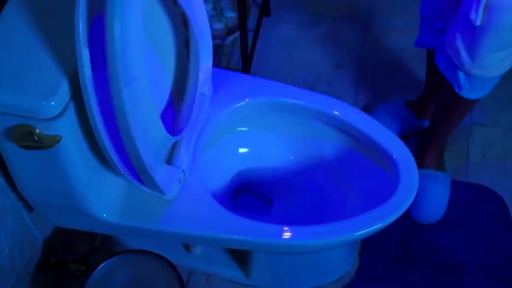 GlowBowl: Turn your loo into a late night disco - Wales Online