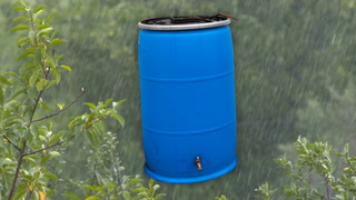Are rain barrels worth the effort? Here are the benefits