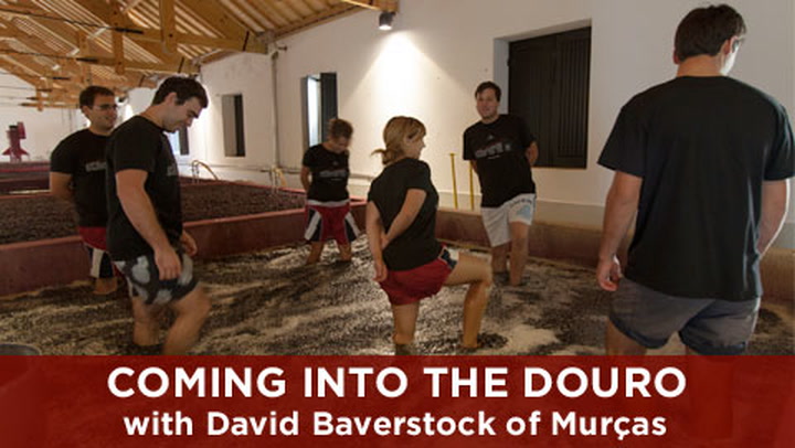 Coming into the Douro: Baverstock at Quinta dos Murças