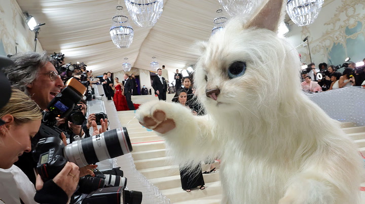 Jared Leto shocks Met Gala arriving as Lagerfeld's cat