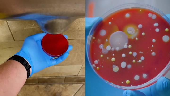 Experiment shows disgusting bacteria harboured by hand dryers