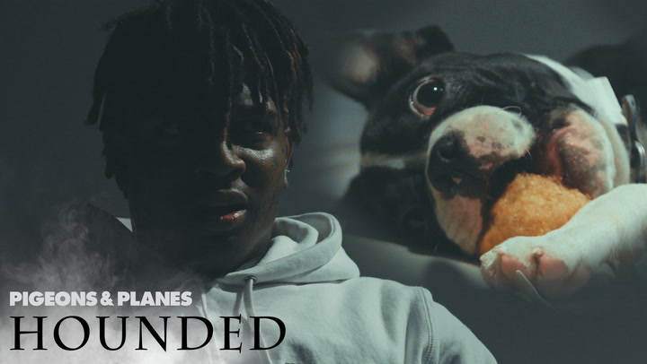 Ski Mask The Slump God Gets Interviewed by Puppies | Hounded