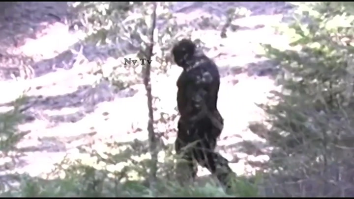Bigfoot: Dramatic footage claims to show new sighting of Sasquatch in Idaho